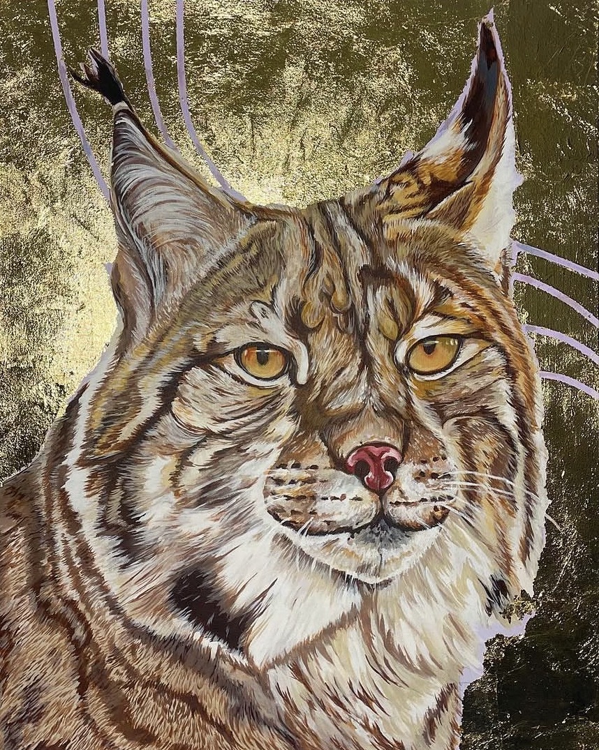 Canada lynx artwork by Megan Edgar